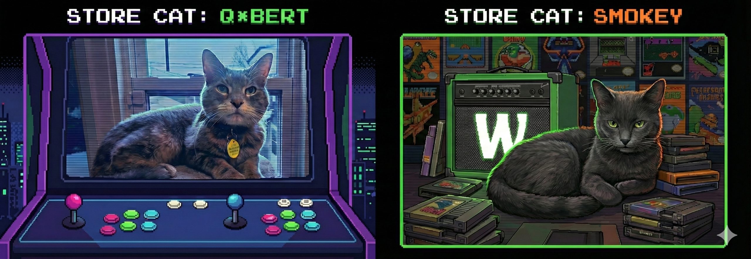 Smokey and Q*bert the Store Cats